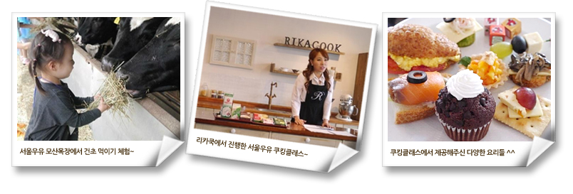 서울우유 모산목장에서 건초 먹이기 체험~, 리카쿡에서 진행한 서울우유 쿠킹클래스~, 쿠킹클래스에서 제공해주신 다양한 요리들